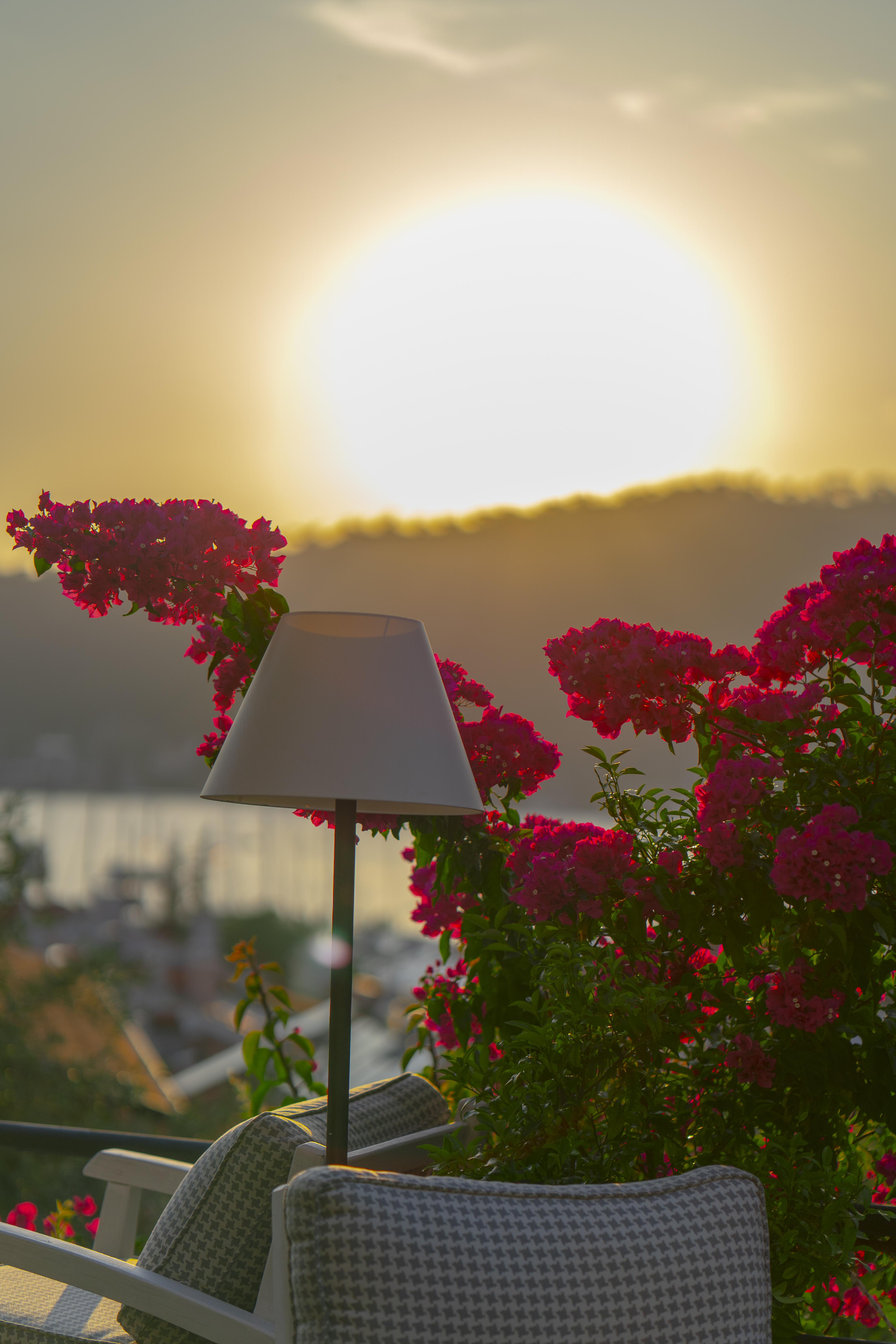 Hotel Unique-Boutique Class - Adults Only Fethiye Eksteriør billede